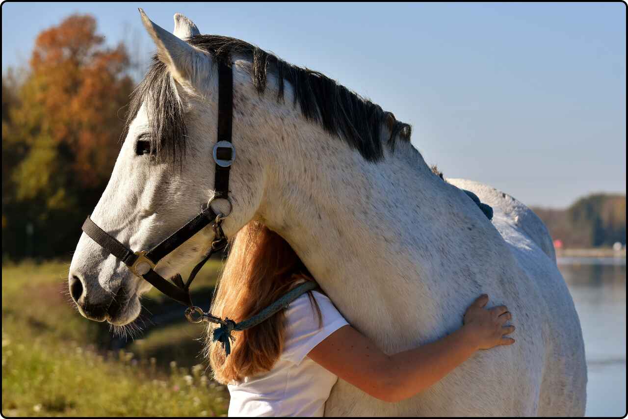 A woman warmly hugging her pet horse in an open field.